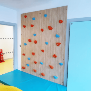 Climbing Wall for Kids