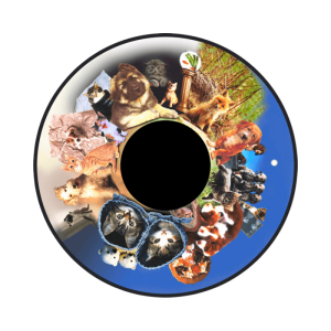 Fluffy Animals Effect Wheel