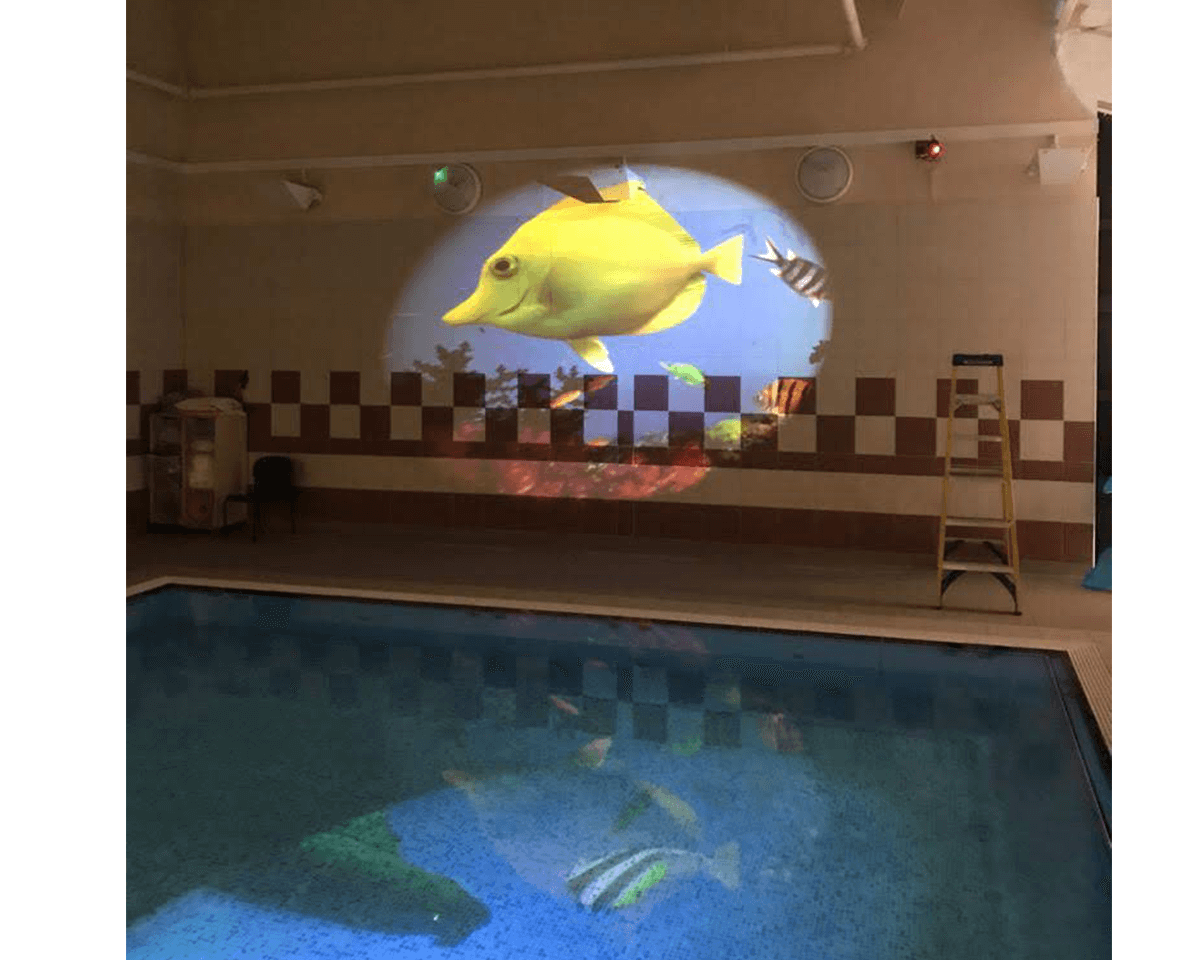 Hydropool area with sensory projector