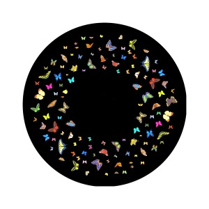 Magnetic Effect Wheels 6" Papillion Colour