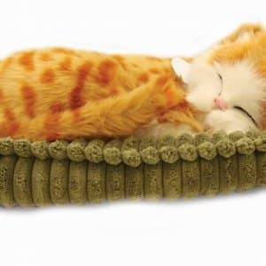 Precious Petzz – Ginger Tabby Cat Developmental