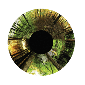 Seasoned Woods Effect Wheel