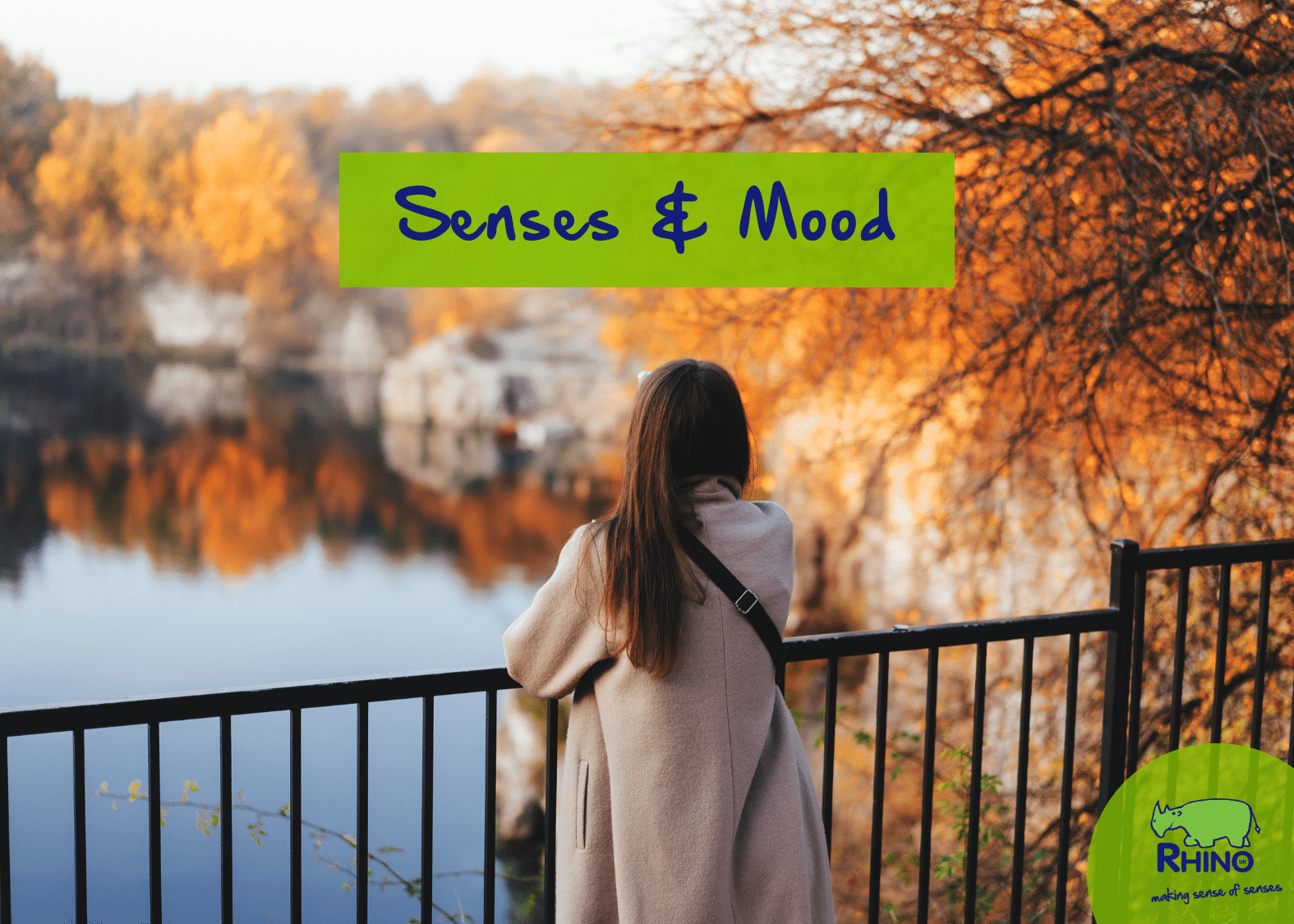 How Our Senses Affect Our Mood