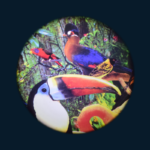 Tropical Birds Effect Wheel