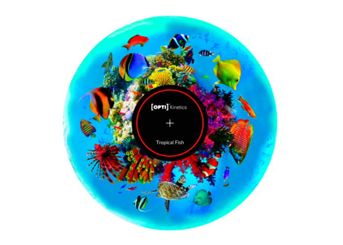 Tropical Fish Effect Wheel
