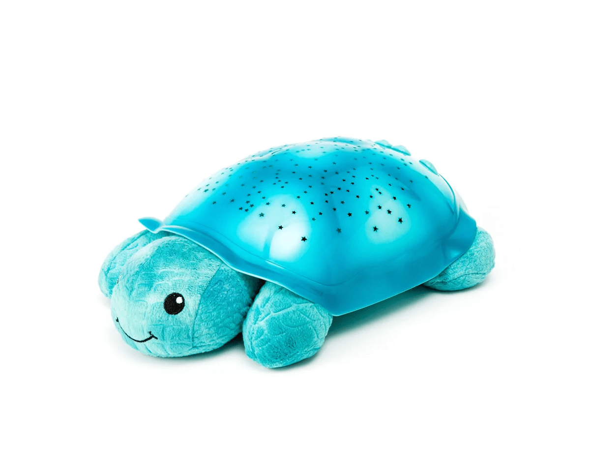 Twilight Turtle