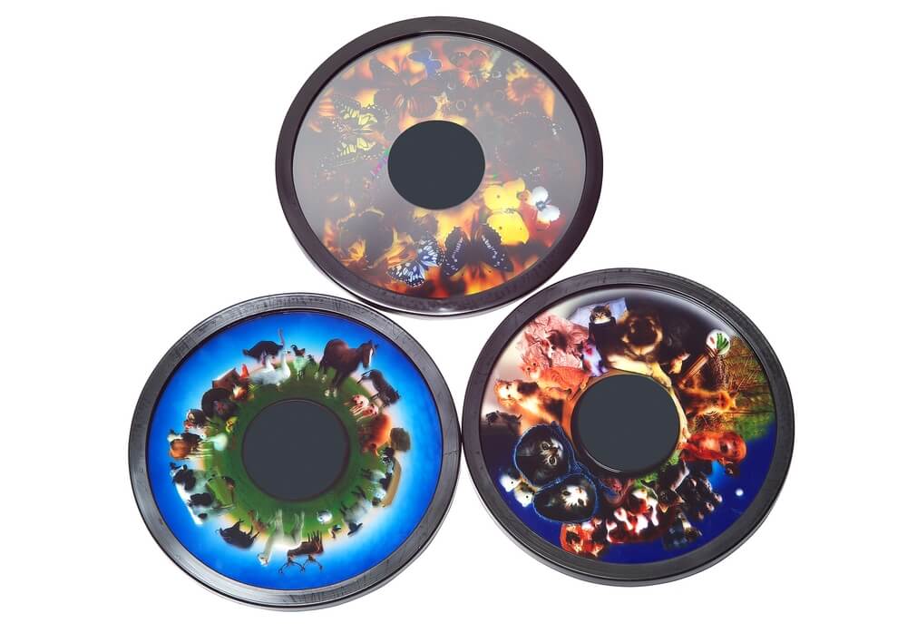 Animal Magnetic Effect Wheel Set B Multi-Sensory Equipment Size 6