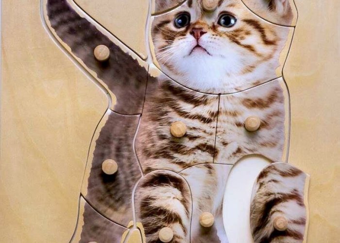 Peg Puzzles – Kitten Developmental Size 24 x 30cm