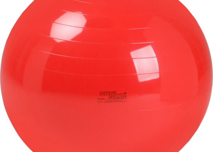 Red Physio Gym Ball 85cm Sensory Integration & Movement Size 85cm